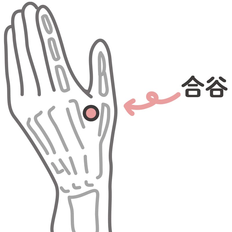 ツボを押す:合谷(ごうこく)