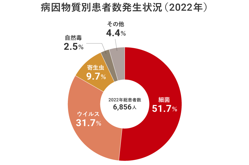 軽い食あたり 対処法 – 軽い食中毒 症状 – TKSR